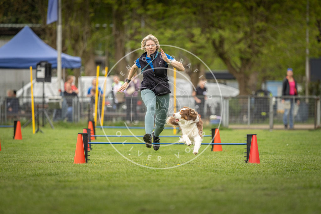 Pfotenfotografie_DV3A8306 | Hundefotografie, Tierfotograf, Pfotenfotografie, Fotoshooting Hund, Hunde Portrait, Hundesport, Hundeportraits, Heideshooting, Hunde, Sportfotograf, Hundefotograf, Turnierhundsport, THS,  - Realisiert mit Pictrs.com