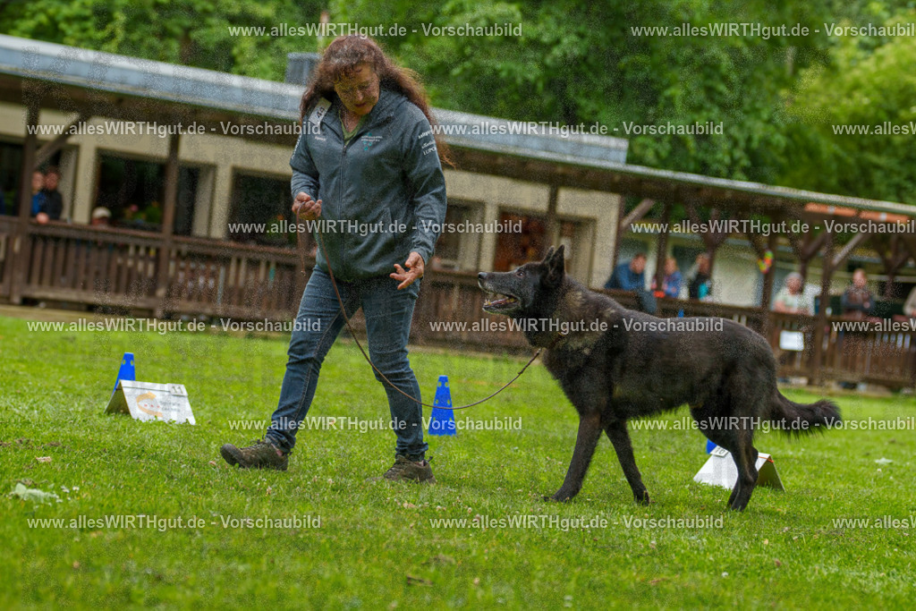 @allesWIRTHgut_Tierfotografie - www.allesWIRTHgut.de - 7R500234 | Professionelle Tierfotografie in Mönchengladbach von Daniel Wirth (allesWIRTHgut). Liebevolle & natürliche Bilder von Hunden & Katzen für unvergessliche Erinnerungen.