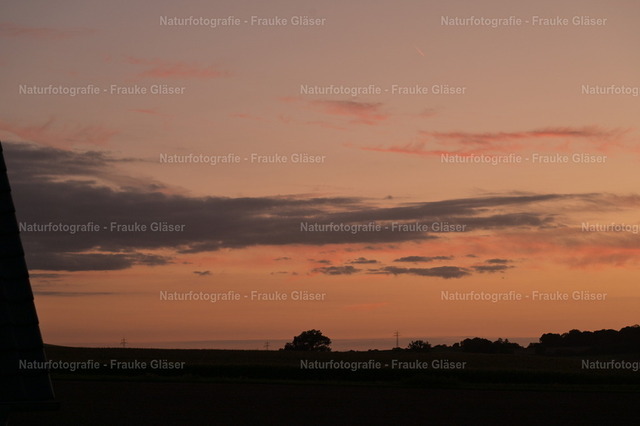 DSC_2654 | Naturfotografie Frauke Gläser - Realisiert mit Pictrs.com