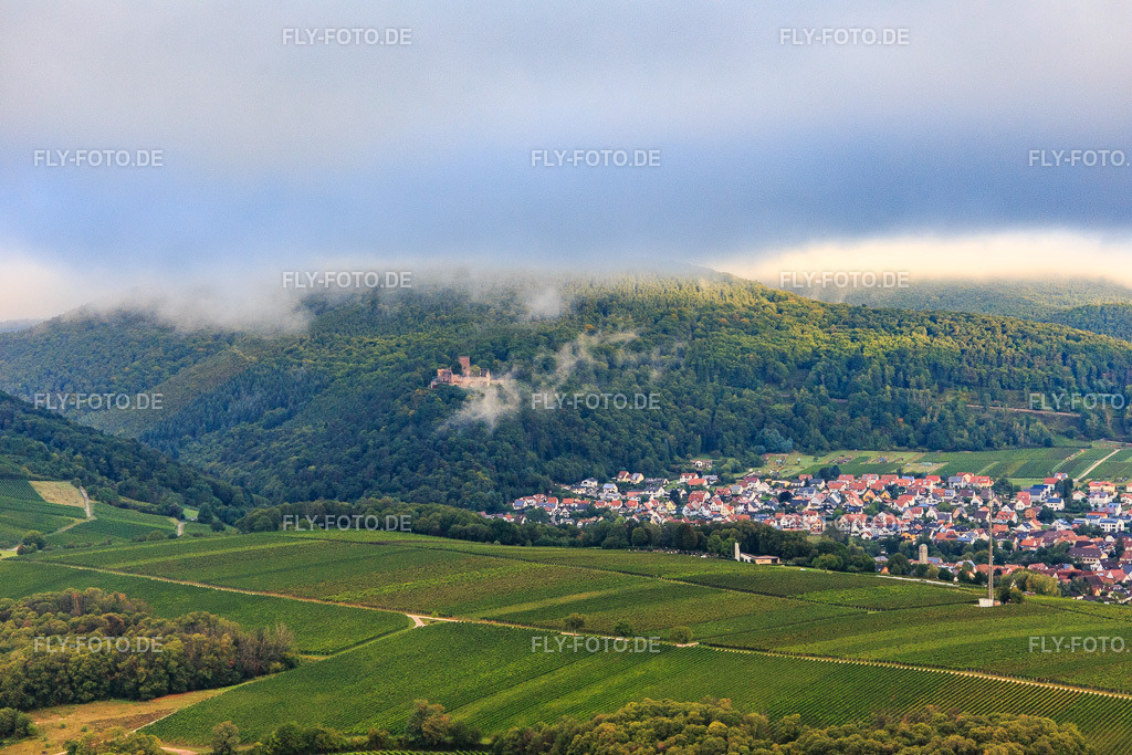 Burg Landeck wolkenverhangen | Luftbild: Burg Landeck wolkenverhangen in Klingenmünster im Bundesland Rheinland-Pfalz in Deutschland. Foto: IMG_103291.jpg vom 10.09.2017 durch Werner Riehm/FLY-FOTO.de - Realisiert mit Pictrs.com