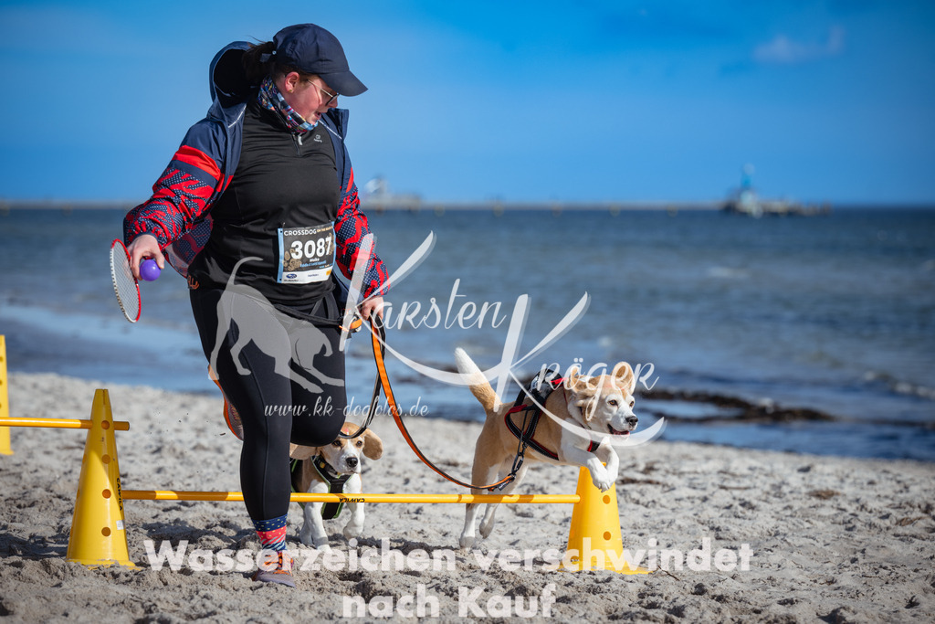 1332_ZZ91829 | kk-dogfotos