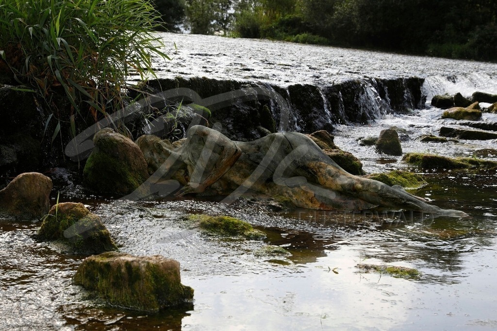 NatureArt-FLUSSWEHR_1274 | Liegender Stein unter der Kante | #002 | Modell: Daniela | Foto: Tschiponnique Skupin - Realisiert mit Pictrs.com