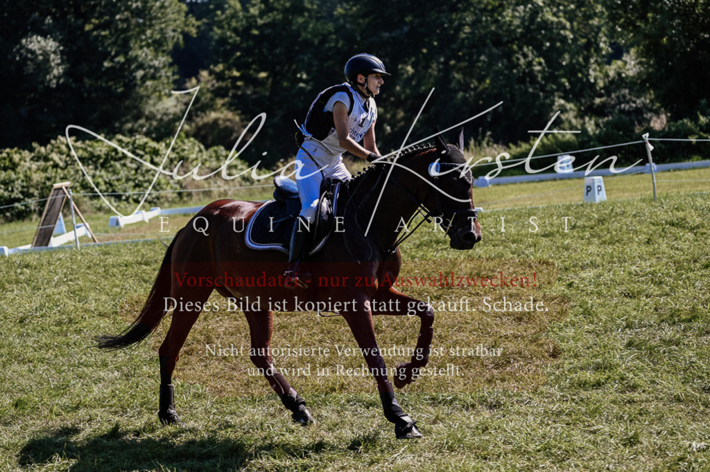 DSC_1767 | Pferde- und Turnierfotografie in Westsachsen. Pferdeportraits, Auftragszeichnungen und intuitive Kunst.
