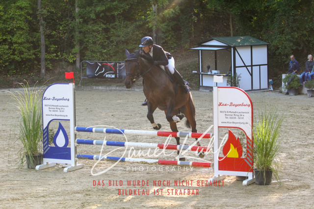 DKP42714 | Deine Turnierfotos vom Reitturnier online kaufen: Dressur, Springen & Siegerehrung. Professionelle Pferdefotografie aus dem Rheinland – als Download & Print.Alternative: Turnierfotograf für den Pferdesport: Finde deine Fotos von Dressur- und Springturnier