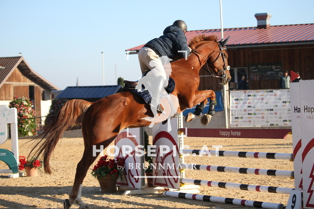 DL2Q0623 | Willkommen bei Brunnmayr - Design & Fotografie – Ihrem Spezialisten für Reitturniere und Pferdeveranstaltungen in Oberösterreich, Salzburg und Bayern! Seit über 17 Jahren sind wir leidenschaftlich dabei.