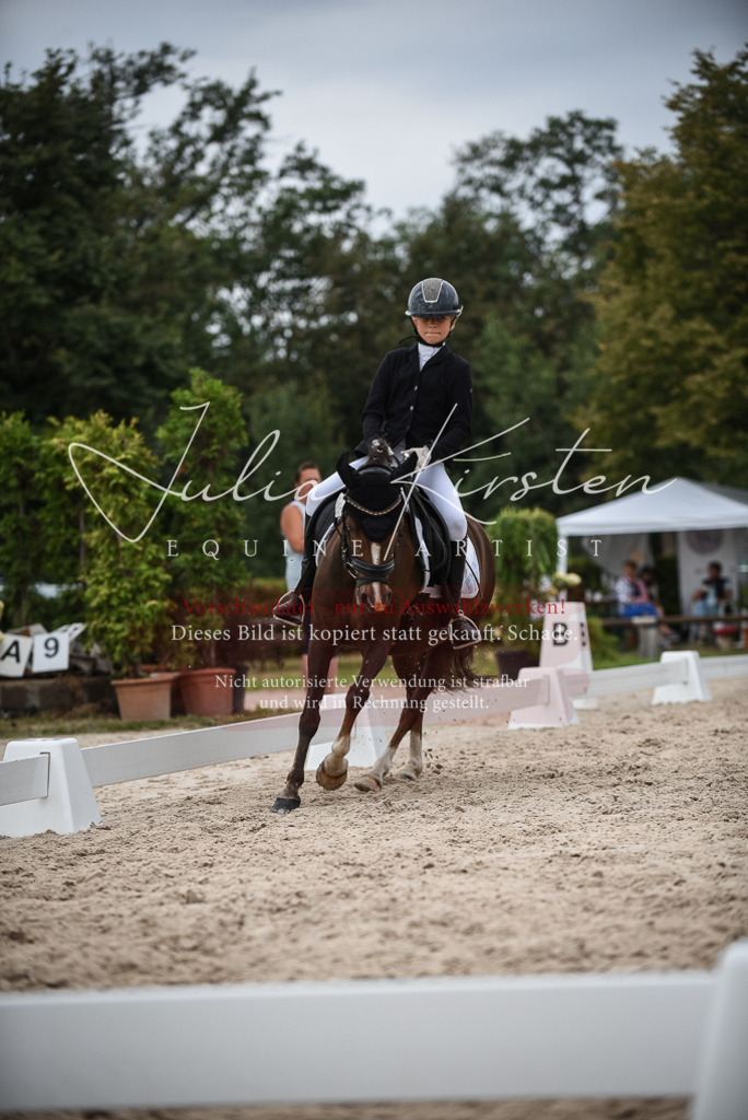 DSC_8173 | Pferde- und Turnierfotografie in Westsachsen. Pferdeportraits, Auftragszeichnungen und intuitive Kunst.
