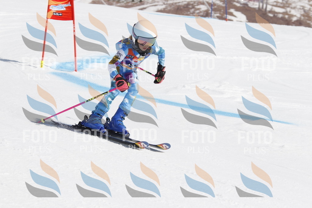 _U3G0568 | holidayphoto