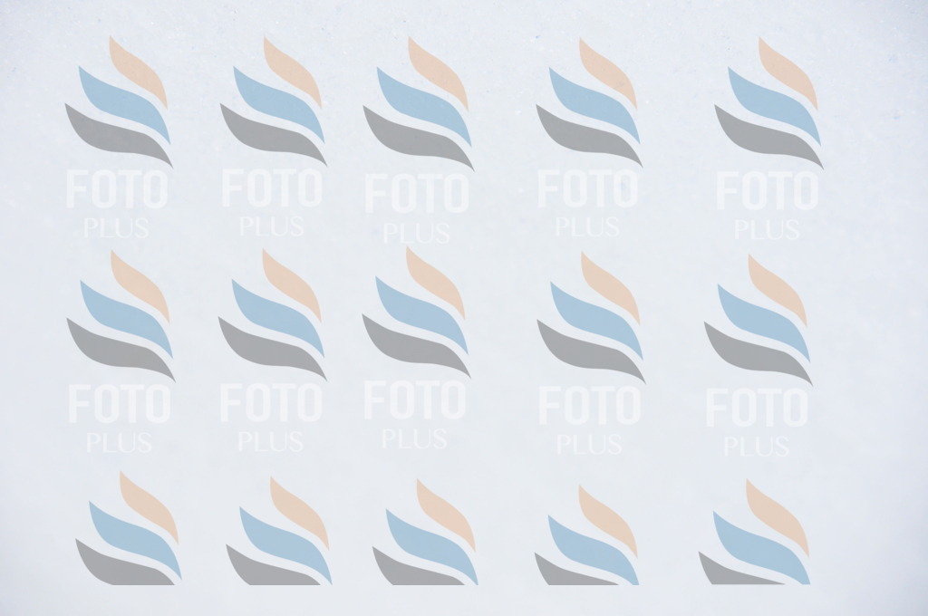 C1038 | holidayphoto