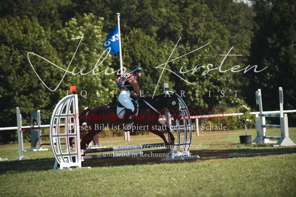 DSC_7433 | Pferde- und Turnierfotografie in Westsachsen. Pferdeportraits, Auftragszeichnungen und intuitive Kunst.