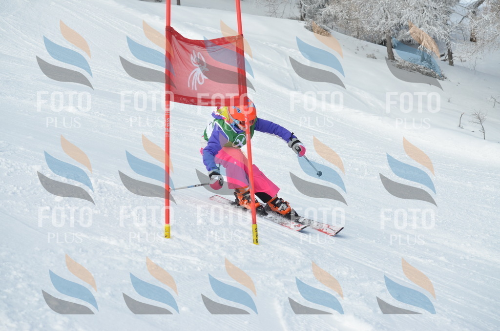 D8675 | holidayphoto