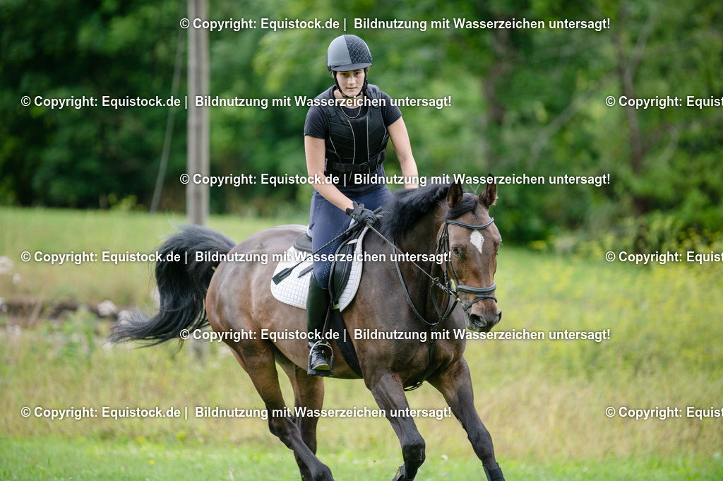20250725_Vielseitigkeitslehrgang-Marbach_0122 | Foto: Thomas Hartig