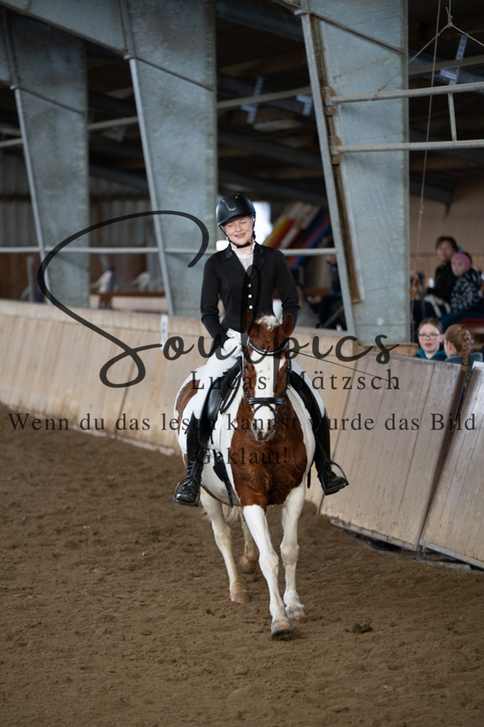 A7V04887 | Pferdefotograf