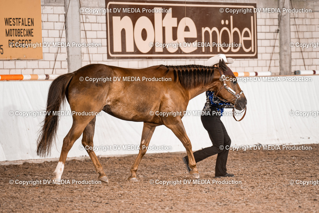 ZH200186 | dv-media-shop - Realisiert mit Pictrs.com