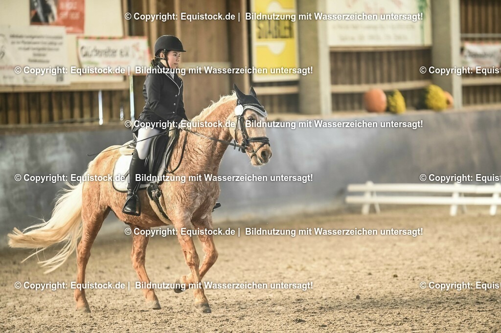 03_Reiter-WB_0306 | Foto: Thomas Hartig