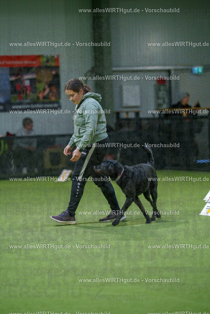 7R505803 | Professionelle Tierfotografie in Mönchengladbach von Daniel Wirth (allesWIRTHgut). Liebevolle & natürliche Bilder von Hunden & Katzen für unvergessliche Erinnerungen.