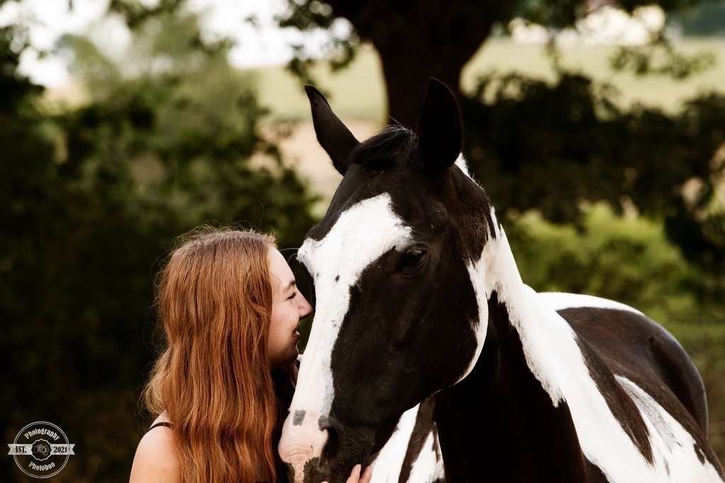 Lieblingsbilder_Photoboo_5 | Pferde- und Hundefotografie in Köln und Umgebung von Vanessza Csuka - Realisiert mit Pictrs.com