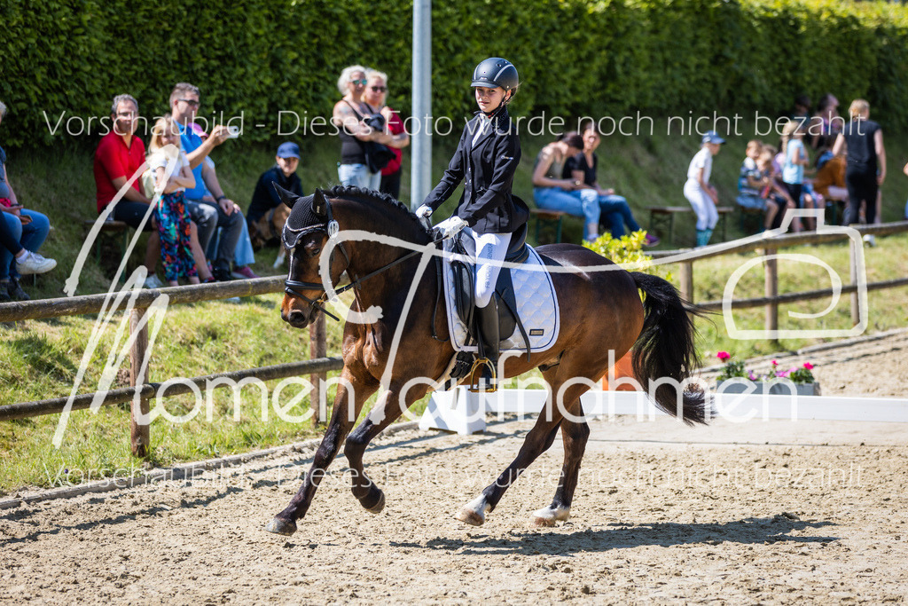 Donop24-RWB-012 | MomenTaufnahmen Pferdesportfotos