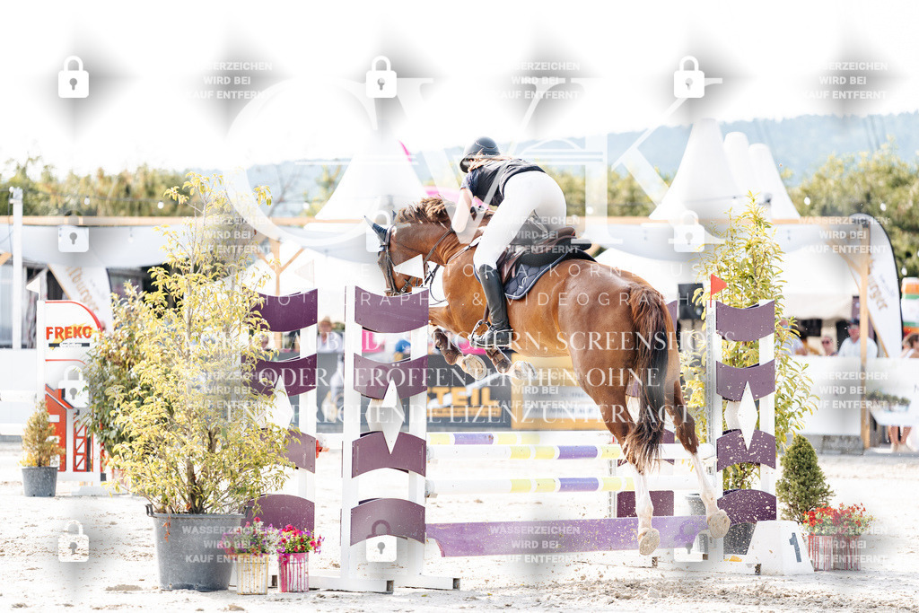 CK905694 | Turnierfotografie Pferdefotografie Trier Rheinland-Pfalz Pferdesport Reitsport Tierfotografie Sportfotografie Pferdevideo Pferdevideografie Equestrianvideography equestrianphotography  - Realisiert mit Pictrs.com