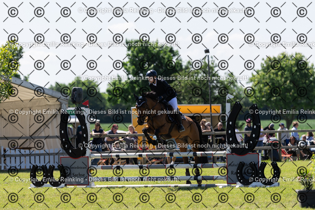 CL5A1035 | Emilia Reinking Fotografie - Realisiert mit Pictrs.com