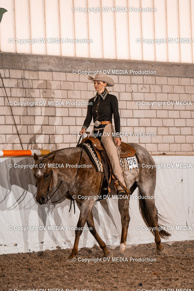 ZH100571 | dv-media-shop - Realisiert mit Pictrs.com