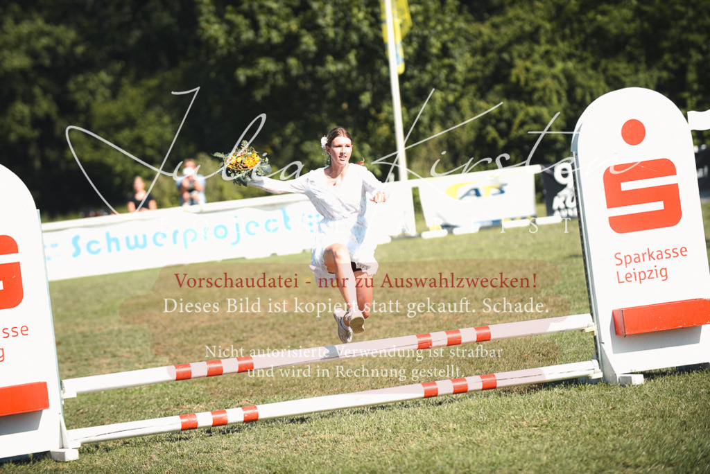 DSC_7712 | Pferde- und Turnierfotografie in Westsachsen. Pferdeportraits, Auftragszeichnungen und intuitive Kunst.