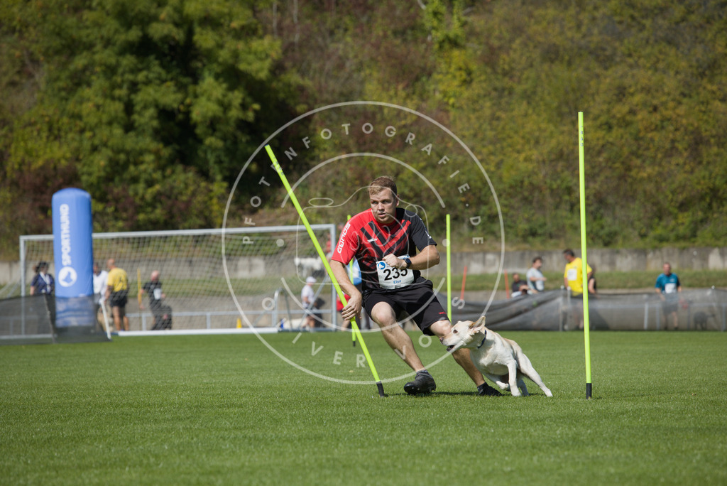 0L8A6102 | Hundefotografie, Tierfotograf, Pfotenfotografie, Fotoshooting Hund, Hunde Portrait, Hundesport, Hundeportraits, Heideshooting, Hunde, Sportfotograf, Hundefotograf, Turnierhundsport, THS,  - Realisiert mit Pictrs.com