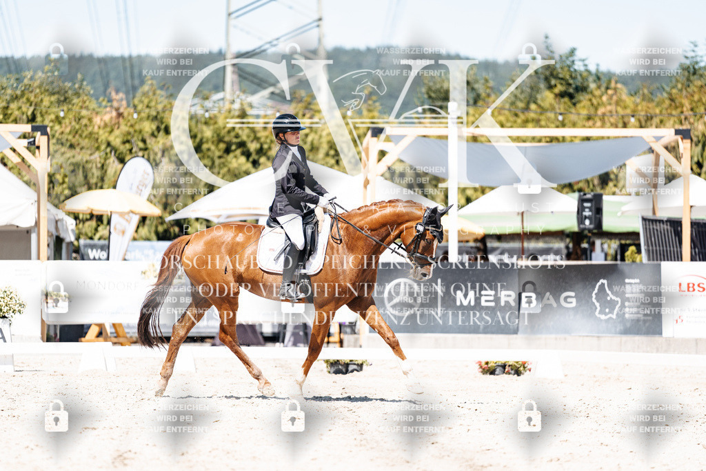 CK900449 | Turnierfotografie Pferdefotografie Trier Rheinland-Pfalz Pferdesport Reitsport Tierfotografie Sportfotografie Pferdevideo Pferdevideografie Equestrianvideography equestrianphotography  - Realisiert mit Pictrs.com