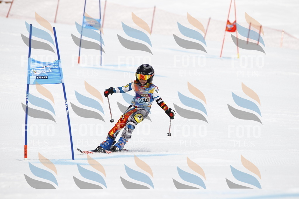 _U3G6215 | holidayphoto