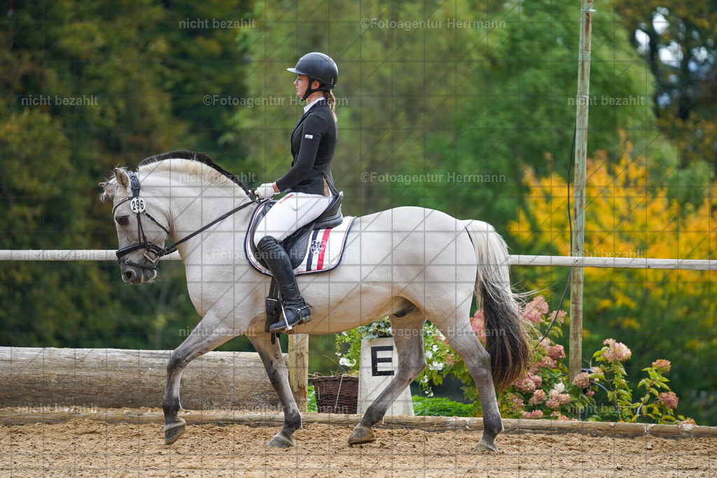 20221008-FAH01010 | Diessen am Ammersee, 2022, Dressur- und Springturnier, Reitsportbilder, Turnierfotografen Bayern, Pferdefotografen, Fotoagentur Herrmann, Turnierbilder