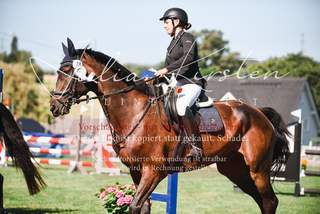 DSC_2640 | Pferde- und Turnierfotografie in Westsachsen. Pferdeportraits, Auftragszeichnungen und intuitive Kunst.