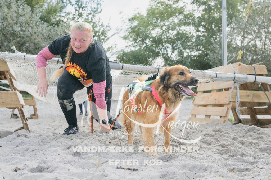 1338_ZZ98151 | kk-dogfotos