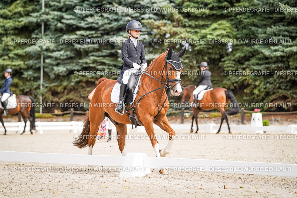 DSC02577 | Pferdegrafie