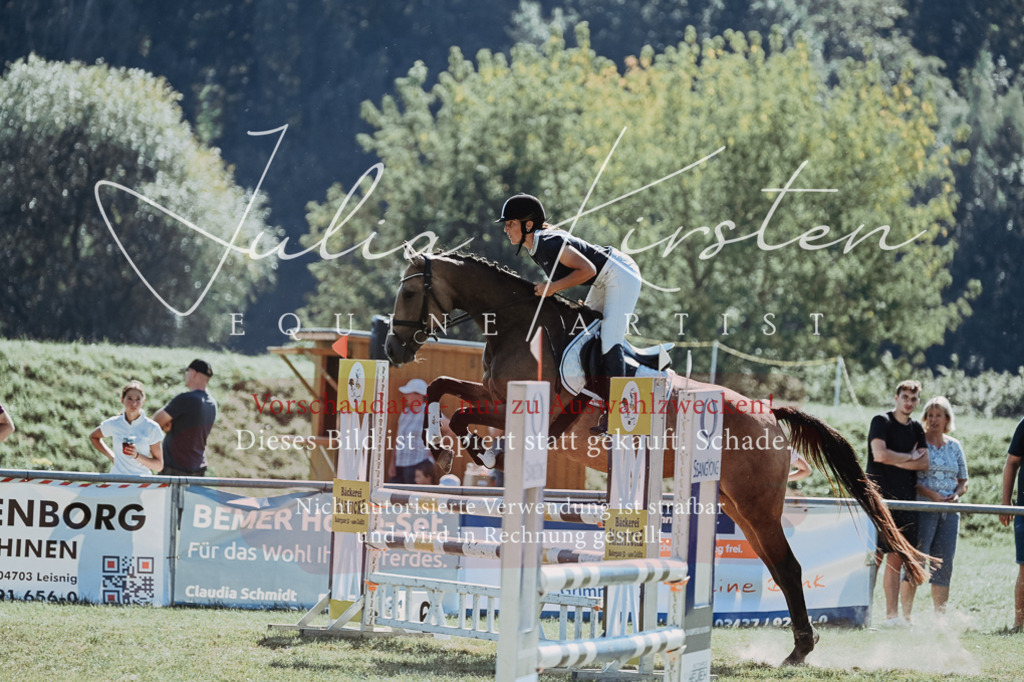 DSC_5945 | Pferde- und Turnierfotografie in Westsachsen. Pferdeportraits, Auftragszeichnungen und intuitive Kunst.