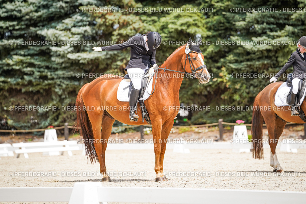 DSC03288 | Pferdegrafie