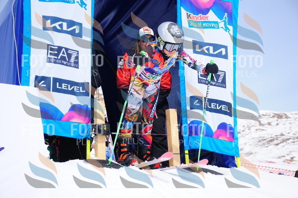 DSC_2509 | holidayphoto