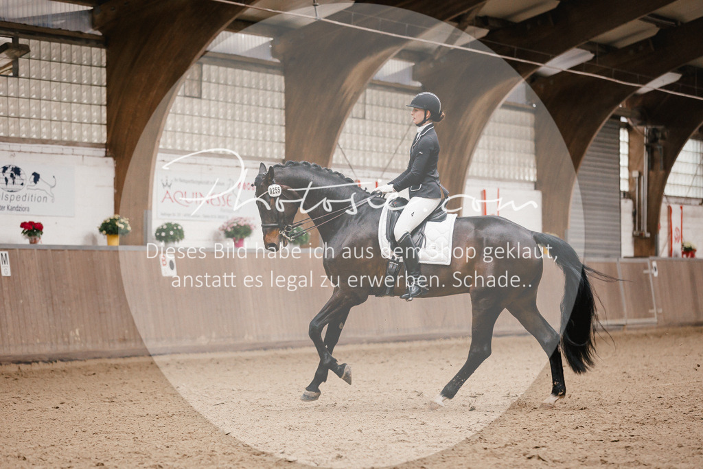 3I6A8403 | Stimmungsvolle Portraits und Reitsportfotografie im Ruhrgebiet und im Münsterland.

Pferdefotografie, Hundefotografie, Tierfotografie, Reportagen, Portraits von Tier und Mensch, Turnierfotografie in Bochum, Recklinghausen, Marl, Haltern am See, Dülmen.. - Realisiert mit Pictrs.com