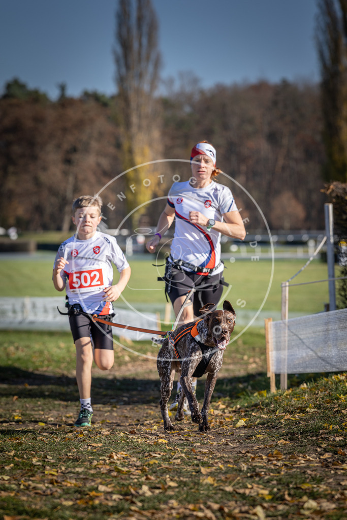 CaniXpix_DV3A7827 | Hundefotografie, Tierfotograf, Pfotenfotografie, Fotoshooting Hund, Hunde Portrait, Hundesport, Hundeportraits, Heideshooting, Hunde, Sportfotograf, Hundefotograf, Turnierhundsport, THS,  - Realisiert mit Pictrs.com