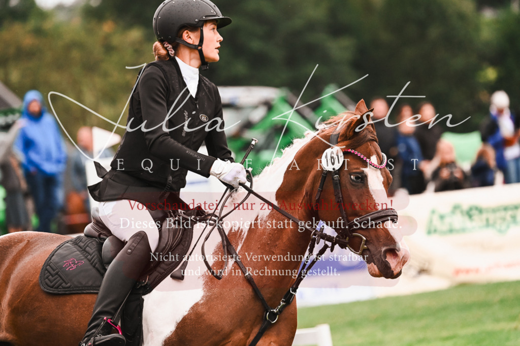 DSC_6262 | Pferde- und Turnierfotografie in Westsachsen. Pferdeportraits, Auftragszeichnungen und intuitive Kunst.