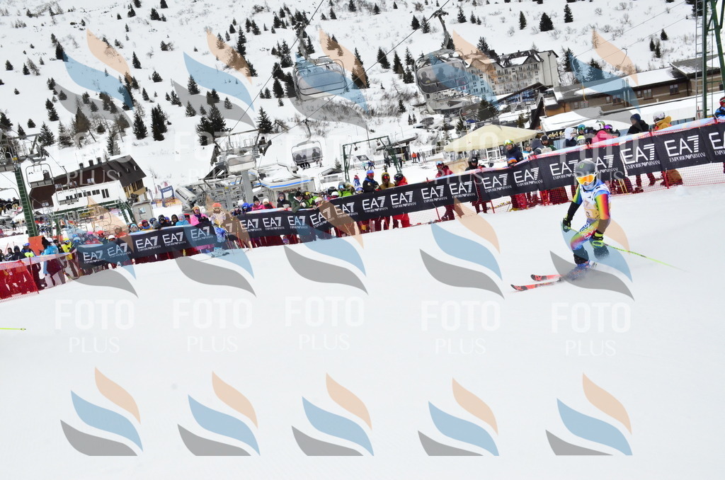 _ELE3973 | holidayphoto