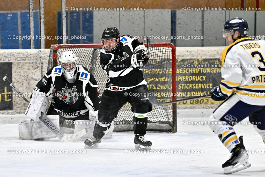 EC Tigers Paternion vs. Tarco Wölfe II | #34 Schleinzer Manuel Tarco Wölfe II, #7 Jarosch Udo Josef Tarco Wölfe II, #3 Kronawetter Piersilvio EC Tigers Paternion, EC Tigers Paternion vs. Tarco Wölfe II, EC Tigers Paternion vs. Tarco Wölfe II am 19.12.2024 in Spittal an der Drau (Eissportzentrum Spittal), Austria, (Photo by Bernd Stefan)