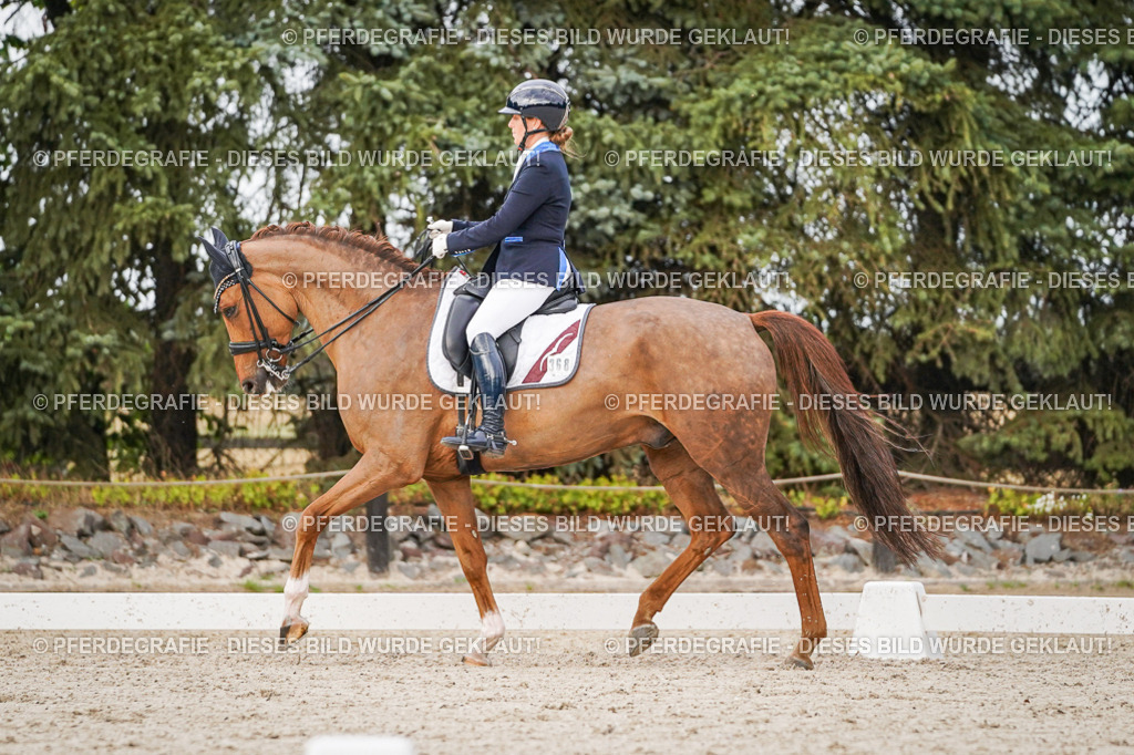 DSC08722 | Pferdegrafie