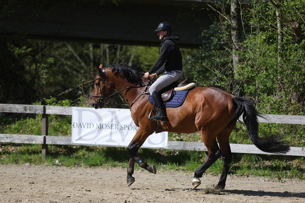 0P6A8105 | Willkommen bei Brunnmayr - Design & Fotografie – Ihrem Spezialisten für Reitturniere und Pferdeveranstaltungen in Oberösterreich, Salzburg und Bayern! Seit über 17 Jahren sind wir leidenschaftlich dabei.