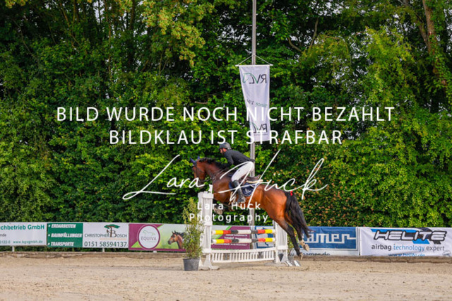 _62_3344 | larahueckfotografie