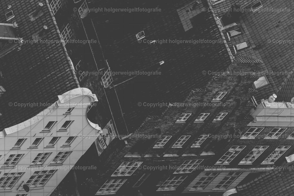 20221005135117D75_9839 | Kaufen sie online außergewöhnliche Fotografien auf Leinwand Acrylglas Fotoprint Aludibond von holgerweigeltfotografie - Realisiert mit Pictrs.com