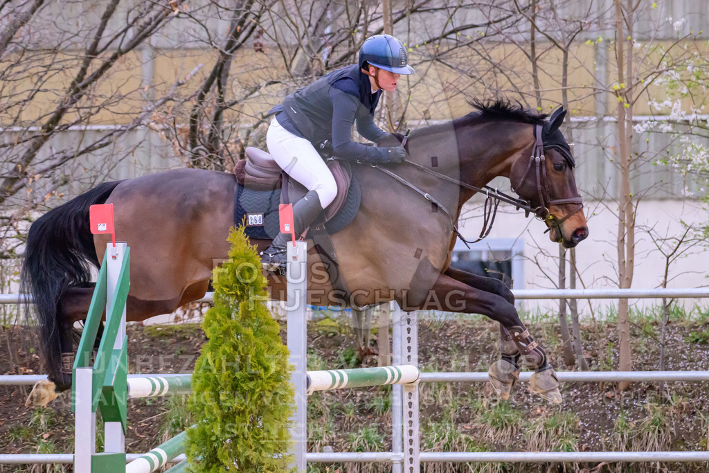10042026-Mammendorf-Prfg19-0679 | Fokus Hufschlag Fotografie - Realisiert mit Pictrs.com