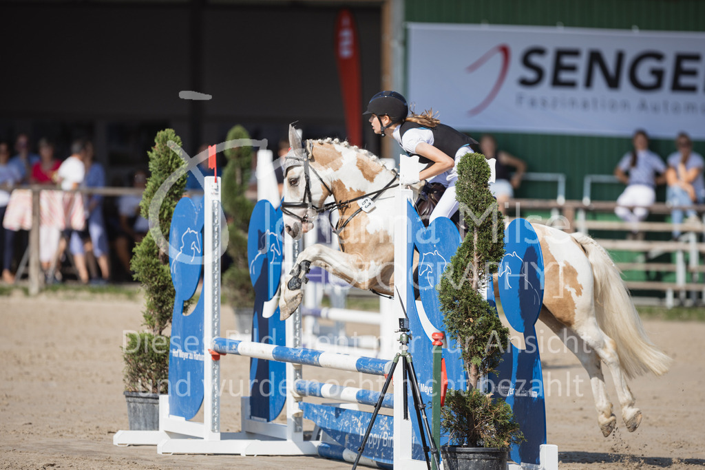 230625_PfSpTa_SpringreiterWB-207 | Deine schönsten Turniermomente als professionelle Fotos! Entdecke hochwertige Pferdesport-Fotografie im Online-Shop. Jetzt Fotos finden & bestellen!