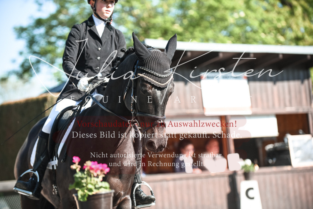 DSC_8345 | Pferde- und Turnierfotografie in Westsachsen. Pferdeportraits, Auftragszeichnungen und intuitive Kunst.