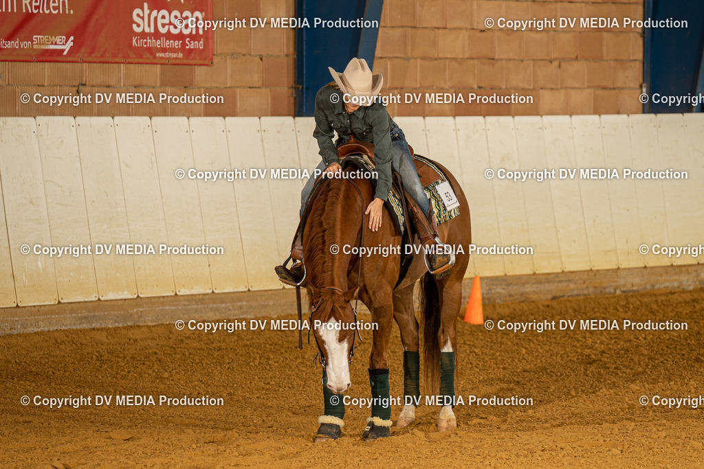 MIT00154 | dv-media-shop - Realisiert mit Pictrs.com