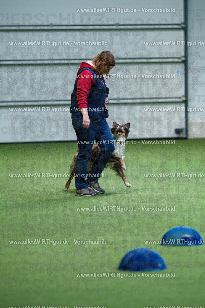 7R506164 | Professionelle Tierfotografie in Mönchengladbach von Daniel Wirth (allesWIRTHgut). Liebevolle & natürliche Bilder von Hunden & Katzen für unvergessliche Erinnerungen.