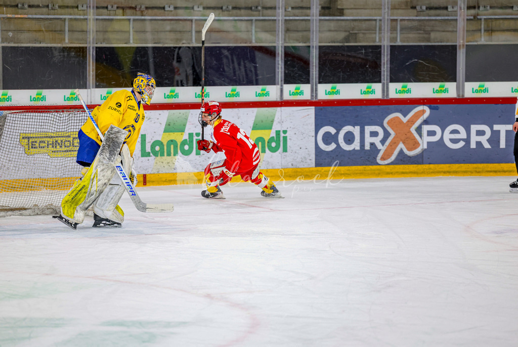 EHCB vs HCD-1600 | Sportbilder, Sportfotograf, Hochzeits- und Eventfotografin, Flugshows, Portraits und Tiershooting, Aviation, Downhill, Nationalleague, Swissleague, International